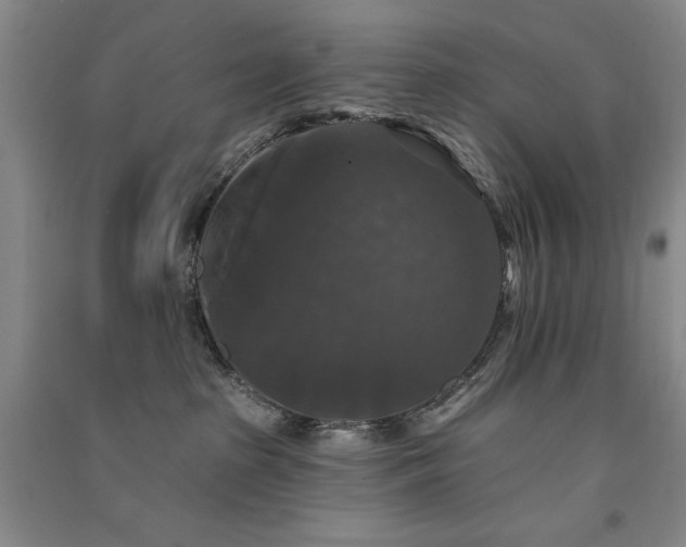 X0000091510285200708171202