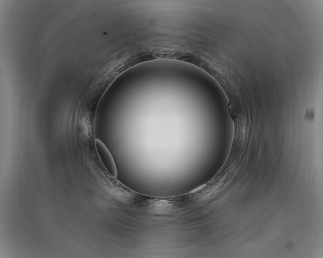 X0000091510287200708171202