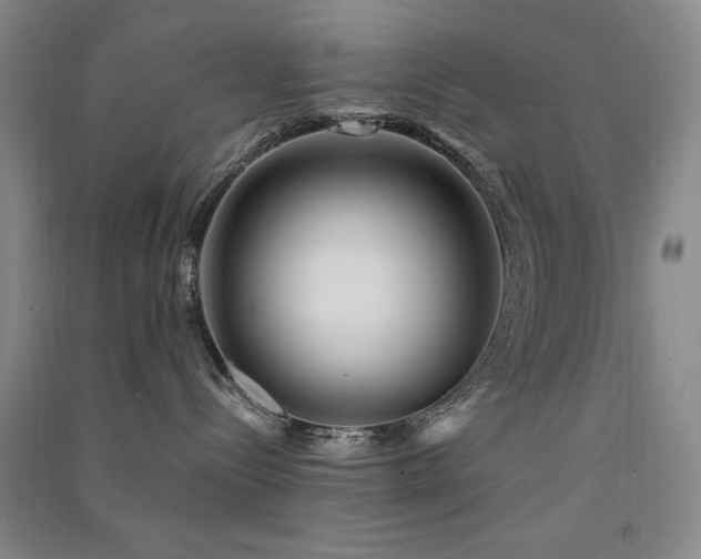 X0000091510288200708171202