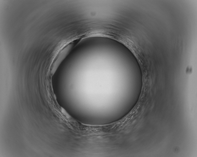 X0000091510289200708171201