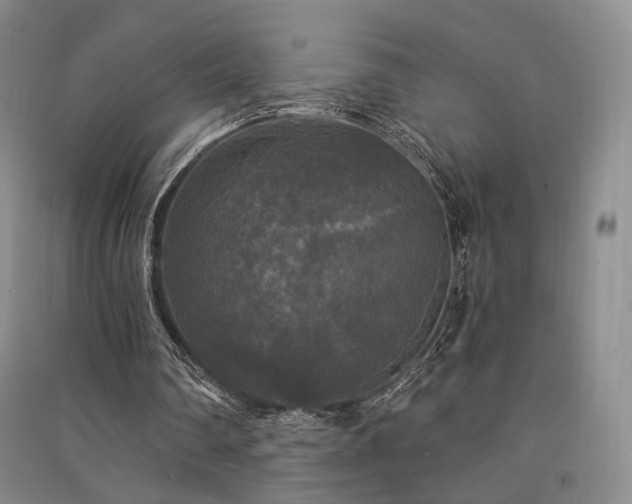 X0000091510290200708171201