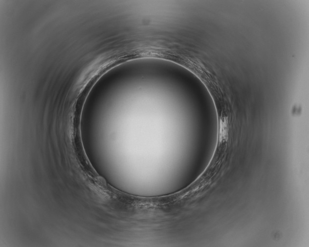 X0000091510291200708171201