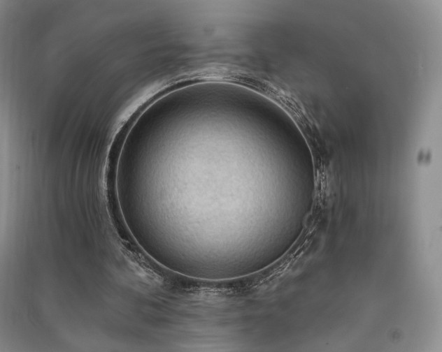X0000091510292200708171201