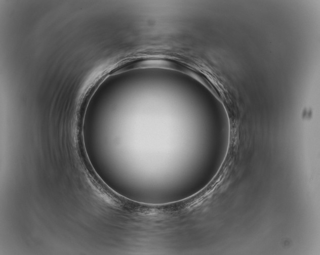 X0000091510293200708171201