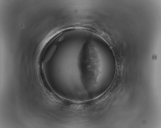 X0000091510295200708171201
