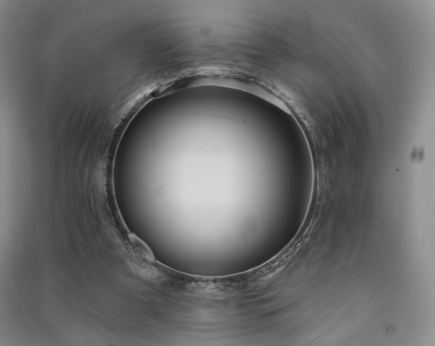 X0000091510297200708171201