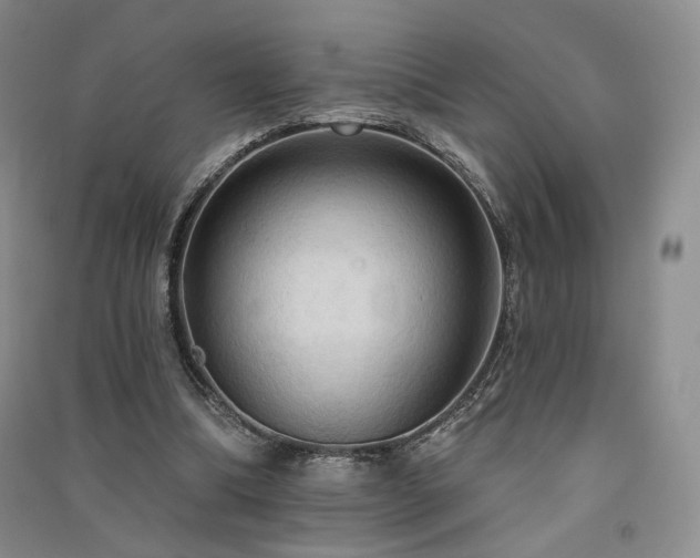 X0000091510298200708171201