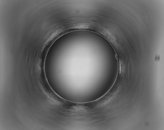 X0000091510300200708171201