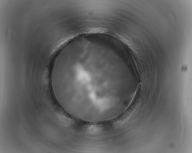 X0000091510303200708171201