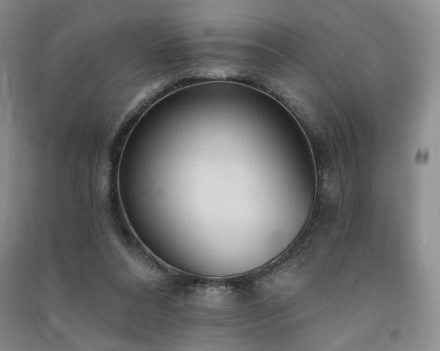 X0000091510304200708171201