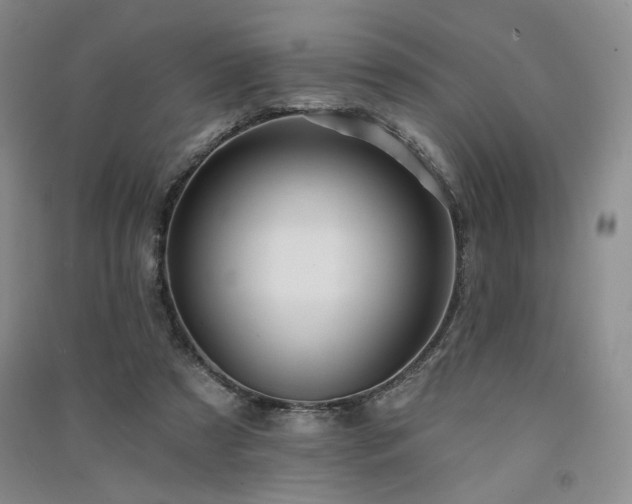 X0000091510305200708171201