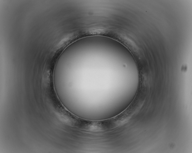 X0000091510308200708171201