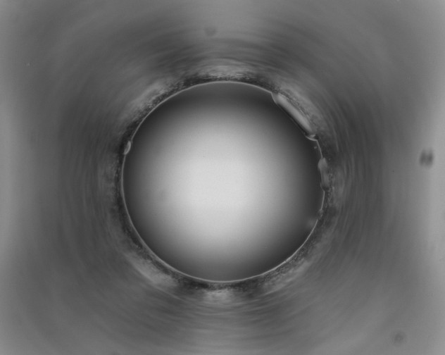 X0000091510309200708171201
