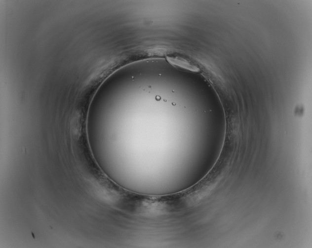 X0000091510311200708171201