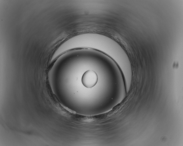 X0000091510313200708171201