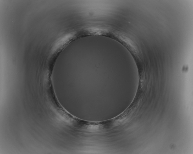 X0000091510314200708171201