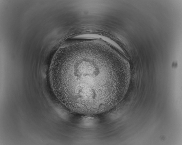 X0000091510315200708171201