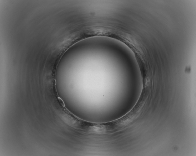 X0000091510317200708171201
