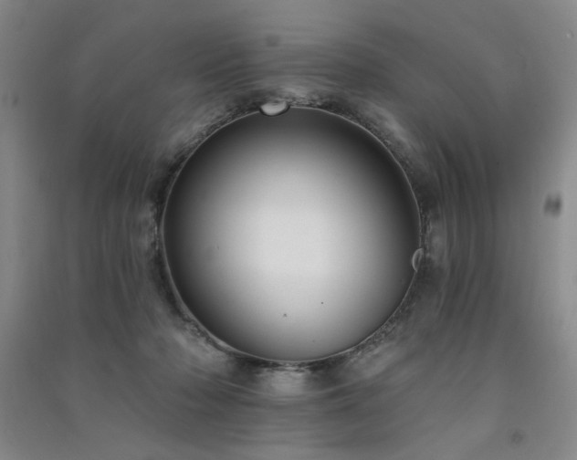 X0000091510318200708171201