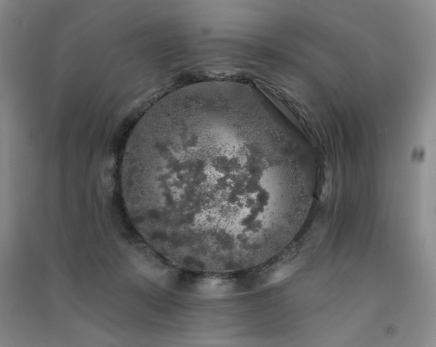X0000091510319200708171201