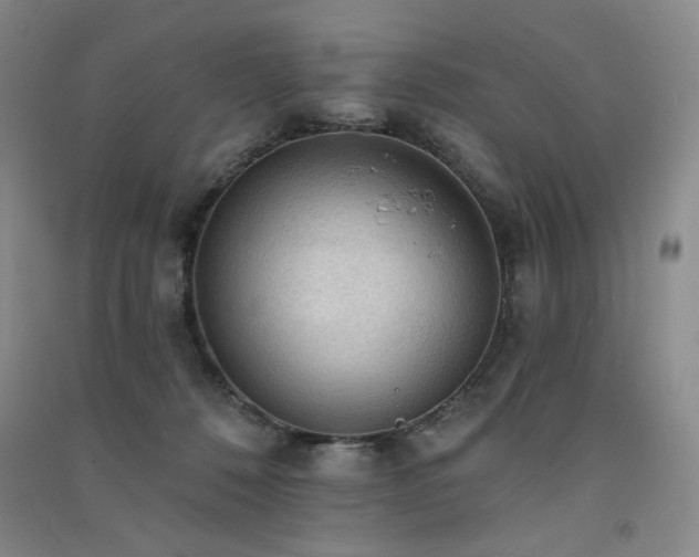 X0000091510320200708171201