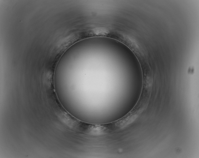 X0000091510321200708171201