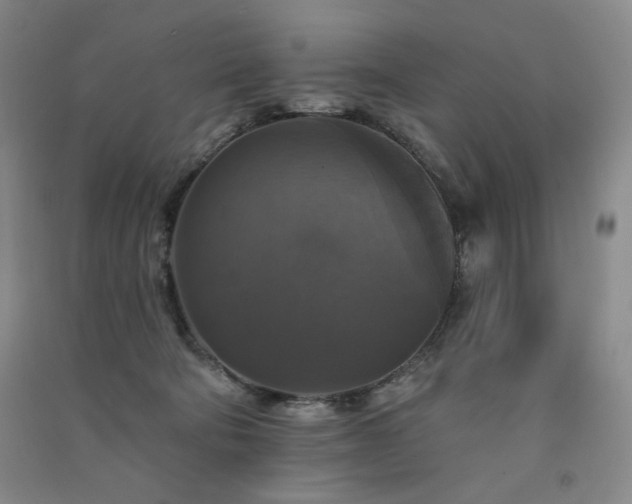 X0000091510322200708171201