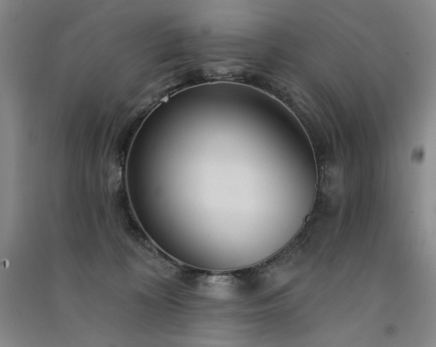 X0000091510324200708171201
