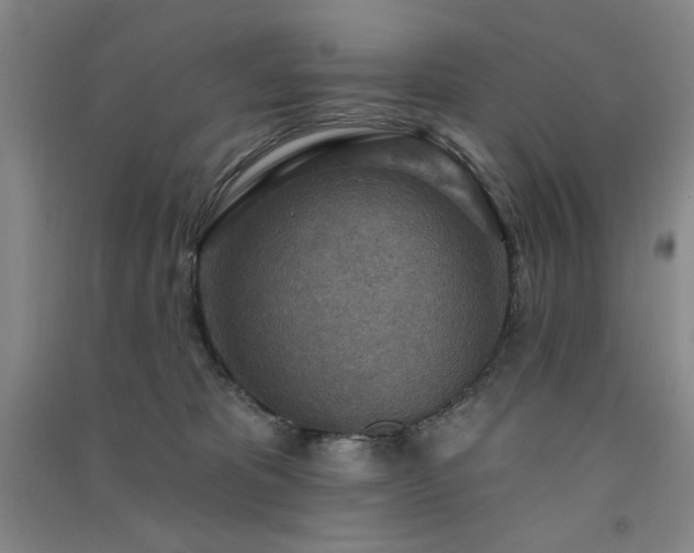 X0000091510325200708171201