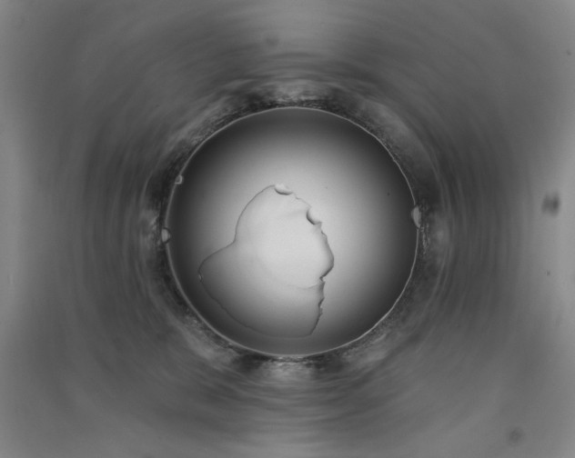 X0000091510327200708171201