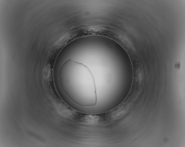 X0000091510328200708171201