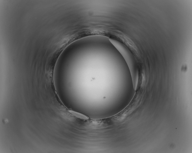 X0000091510329200708171201
