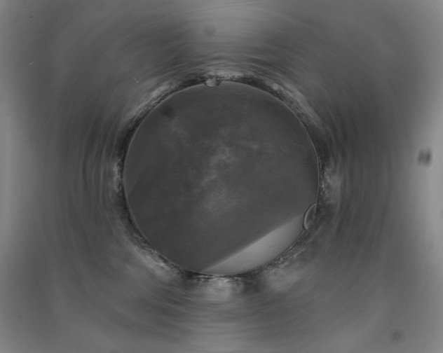 X0000091510330200708171201