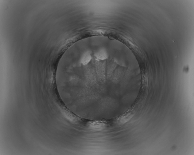 X0000091510331200708171201