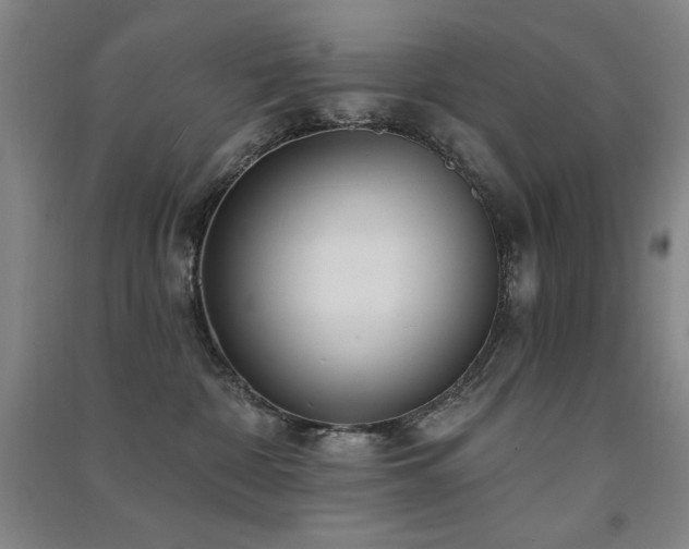 X0000091510332200708171201