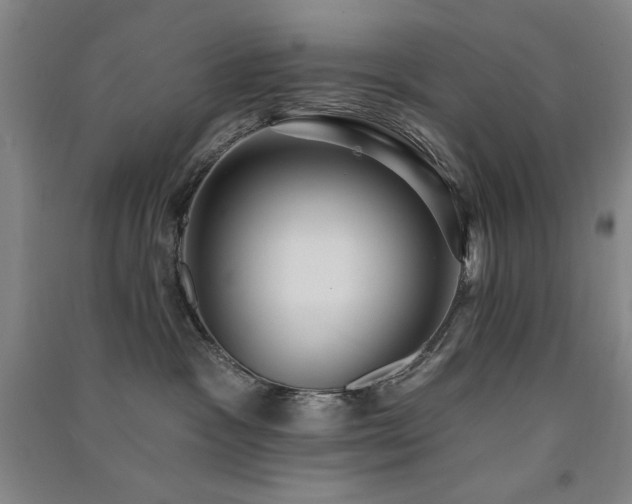 X0000091510333200708171201