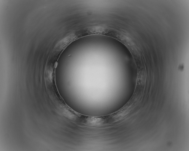 X0000091510334200708171201