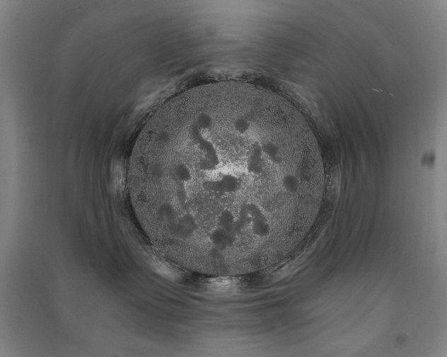 X0000091510335200708171201