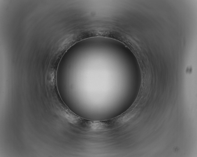 X0000091510336200708171201