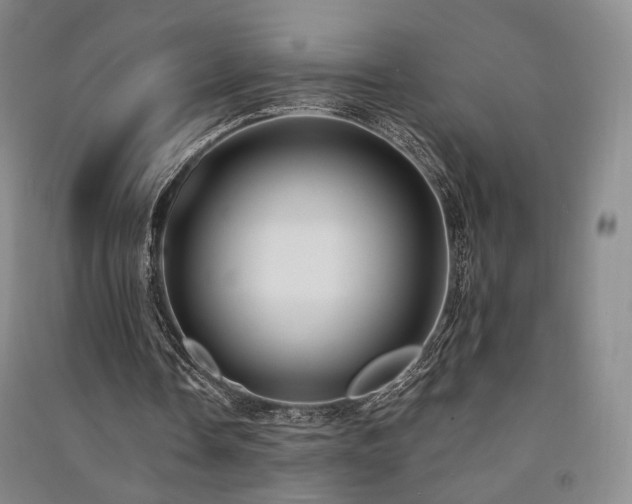 X0000091510338200708171200