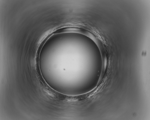X0000091510340200708171200