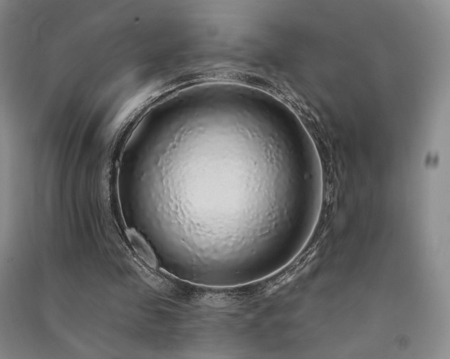 X0000091510341200708171200