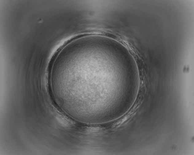 X0000091510342200708171200