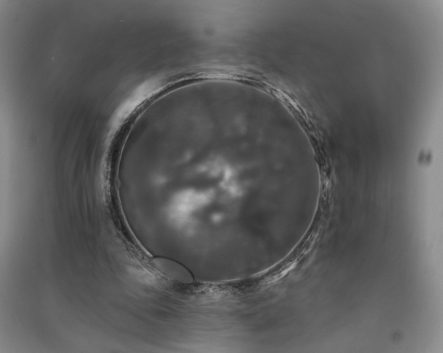 X0000091510343200708171200