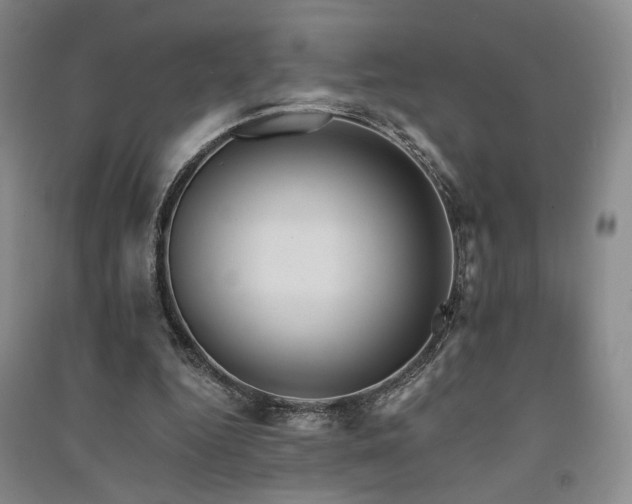 X0000091510344200708171200