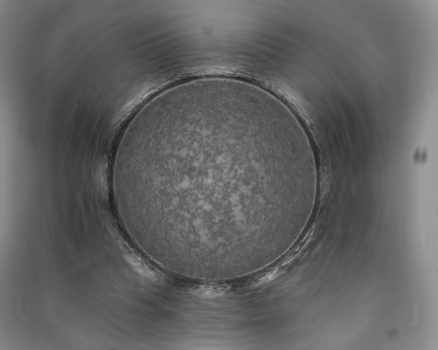 X0000091510345200708171200