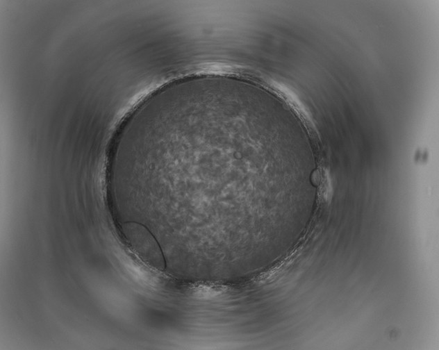 X0000091510346200708171200