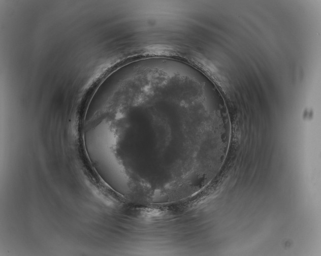X0000091510347200708171200