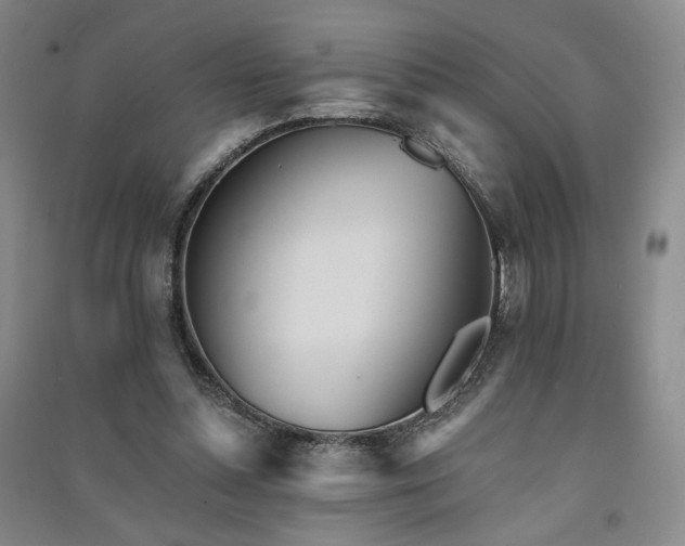 X0000091510348200708171200