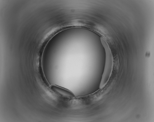 X0000091510350200708171200